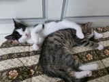 Vorschaubild 6