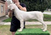 Vorschaubild 9