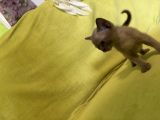 Vorschaubild 5