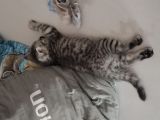 Vorschaubild 3