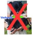 Vorschaubild 7