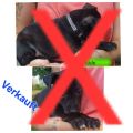 Vorschaubild 6