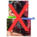 Vorschaubild 7