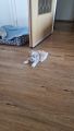 Vorschaubild 3