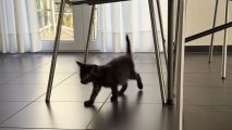 Vorschaubild 3