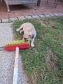 Vorschaubild 3