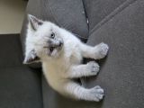 Vorschaubild 6