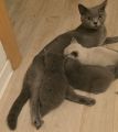 Vorschaubild 8