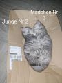 Vorschaubild 9