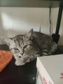 Vorschaubild 5
