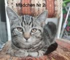 Vorschaubild 7