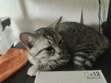 Vorschaubild 6