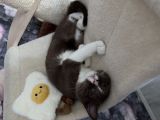 Vorschaubild 3