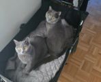 Vorschaubild 3