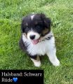 Vorschaubild 4