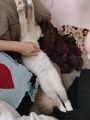 Vorschaubild 4