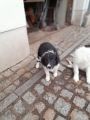 Vorschaubild 3