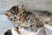 Vorschaubild 8
