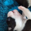 Vorschaubild 8