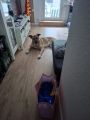Vorschaubild 7