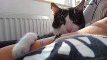 Vorschaubild 3