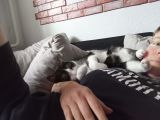Vorschaubild 4