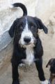 Vorschaubild 8