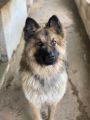 Vorschaubild 8