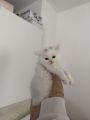Vorschaubild 7
