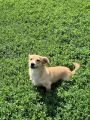 Vorschaubild 6
