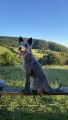 Vorschaubild 6