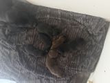 Vorschaubild 3