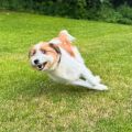 Vorschaubild 5