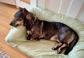Vorschaubild 6