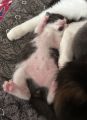 Vorschaubild 5