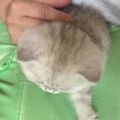Vorschaubild 7