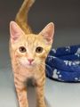 Vorschaubild 6