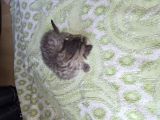 Vorschaubild 6