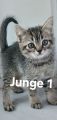 Vorschaubild 4