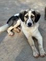 Vorschaubild 9
