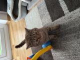 Vorschaubild 2