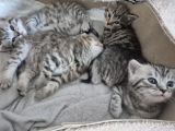 Vorschaubild 3