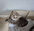 Vorschaubild 6