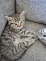 Vorschaubild 9