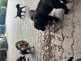 Vorschaubild 5