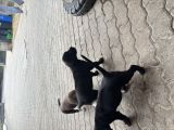 Vorschaubild 6
