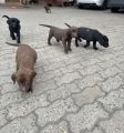 Vorschaubild 7