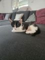 Vorschaubild 1