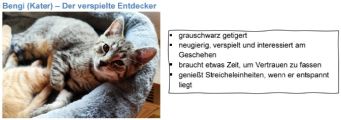 Vorschaubild 6