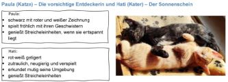 Vorschaubild 8